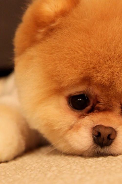 ؽ캮ضģʽ ùذů